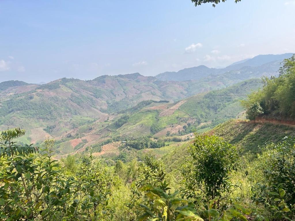 My Story Doichang Chiangrai Ban Huai Khai Buitenkant foto